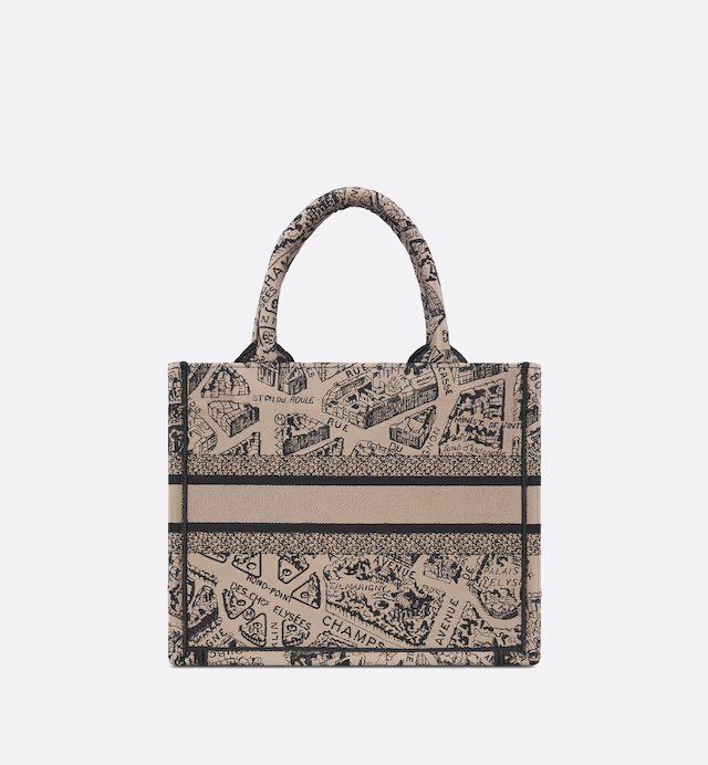SMALL DIOR BOOK TOTE